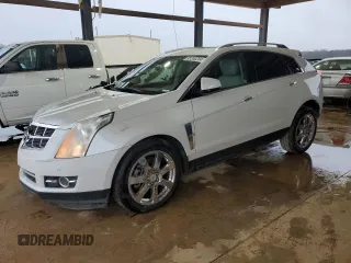 2010 Cadillac SRX Premium Collection with VIN 3GYFNFEY9AS590572, listed as a Copart auction lot 85200204 with 143,895 mi miles and Salvage Title. Bid and sale history available at carsss.com. Image 1.