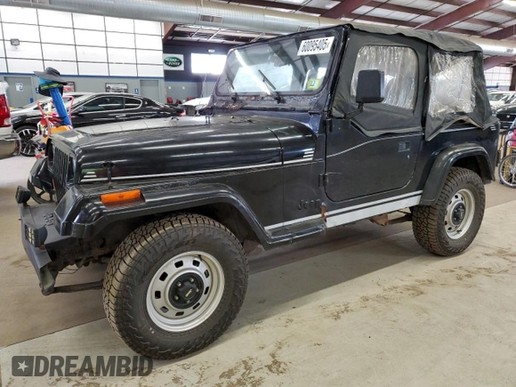 1993 Jeep Wrangler S with VIN 1J4FY19P9PP227563, listed as a Copart auction lot 60095405 with 166,851 mi miles and Clean title. Bid and sale history available at DreamBid. Image 1.