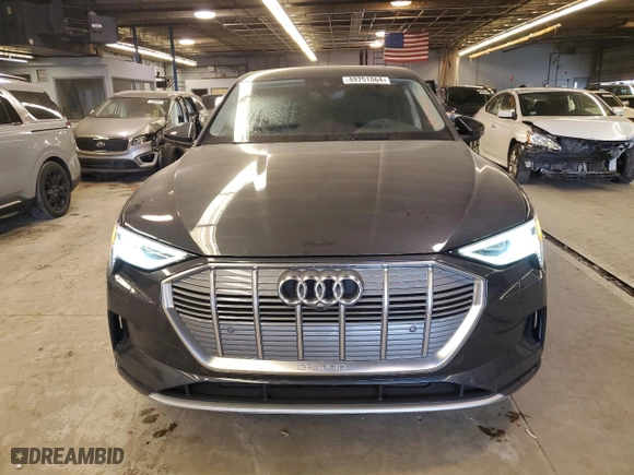 2020 Audi e-tron Sportback Premium Plus with VIN WA12ABGE1LB036124, listed as a Copart auction lot 49751064 with 46,880 mi miles. Bid and sale history available at carsss.com. Image 5.