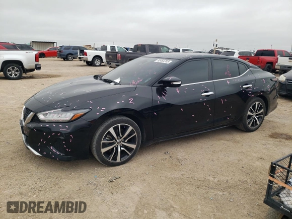 2021 Nissan Maxima SV with VIN 1N4AA6CV7MC514093, listed as a Copart auction lot 53454705 with 99,428 mi miles and Salvage title. Bid and sale history available at DreamBid. Image 1.