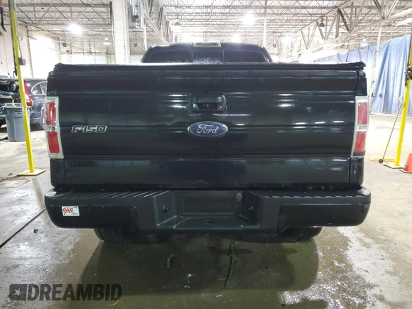 2010 Ford F-150 XL with VIN 1FTEX1EW1AFA40963, listed as a Copart auction lot 48222415 with Not Provided miles and Clean Title. Bid and sale history available at DreamBid. Image 6.