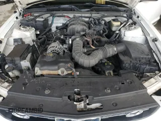 2008 Ford Mustang Deluxe с VIN 1ZVHT84N285127603, выставлен на аукционе Copart как лот 61134925 с пробегом Не указан миль и Чистый • Clean title. История ставок и продаж доступна на DreamBid. Изображение 11.