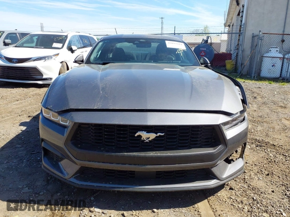 2024 Ford Mustang EcoBoost with VIN 1FA6P8TH1R5143311, listed as a IAAI auction lot 42093284 with 2,255 mi miles and . Bid and sale history available at DreamBid. Image 13.
