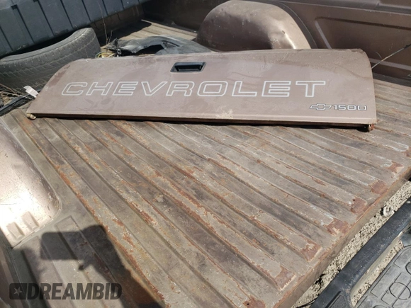 1996 Chevrolet Silverado 1500 with VIN 1GCEC14W6TZ165097, listed as a Copart auction lot 48853555 with 205,981 mi miles and Salvage Title. Bid and sale history available at DreamBid. Image 13.