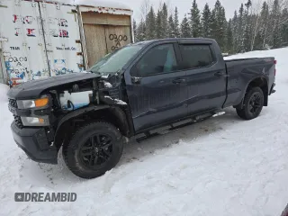 2019 Chevrolet Silverado 1500 Custom Trail Boss with VIN 1GCPYCEF8KZ414311, listed as a Copart auction lot 44328785 with 160,718 mi miles and Salvage Title. Bid and sale history available at carsss.com. Image 1.