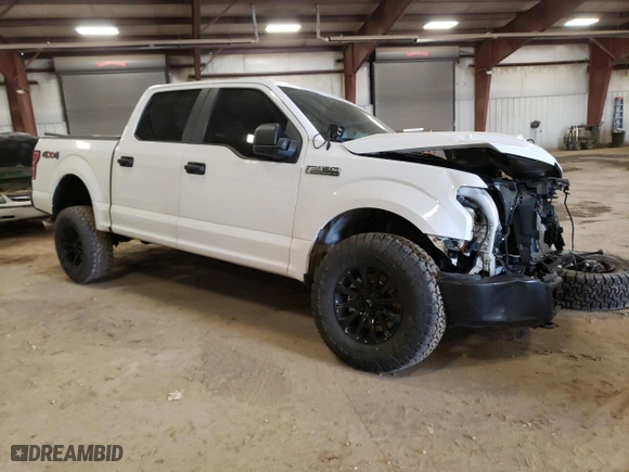 2019 Ford F-150 XL with VIN 1FTEW1EP4KKF08687, listed as a Copart auction lot 51903035 with 54,083 mi miles and Clean Title. Bid and sale history available at carsss.com. Image 4.