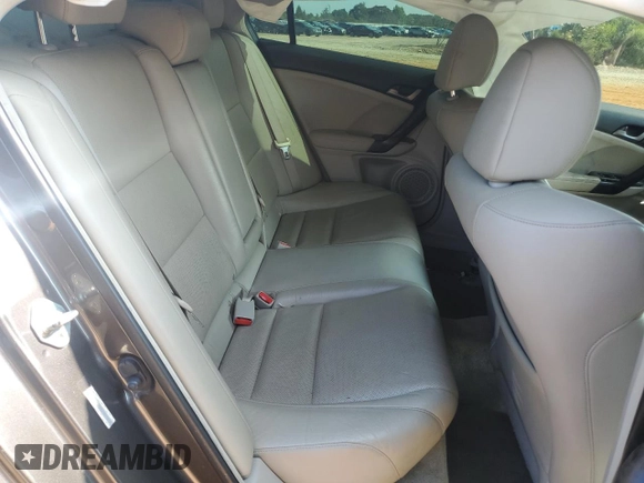 2010 Acura TSX with VIN JH4CU2F68AC027454, listed as a Copart auction lot 59365895 with 189,228 mi miles and Salvage title. Bid and sale history available at DreamBid. Image 10.