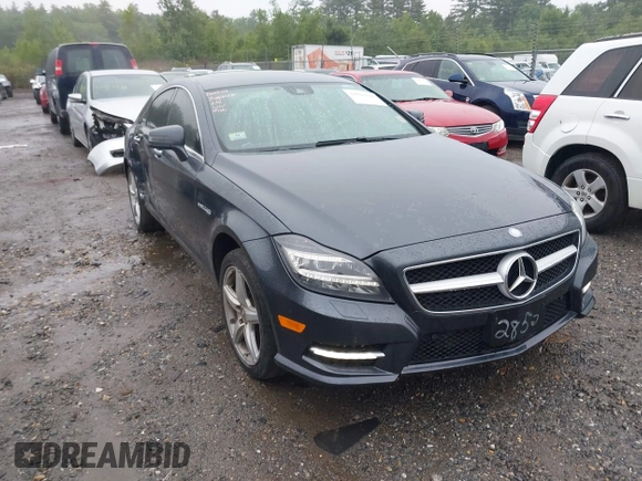 2014 Mercedes-Benz CLS 550 with VIN WDDLJ9BB6EA122852, listed as a IAAI auction lot 42503119 with 161,840 mi miles and . Bid and sale history available at DreamBid. Image 1.