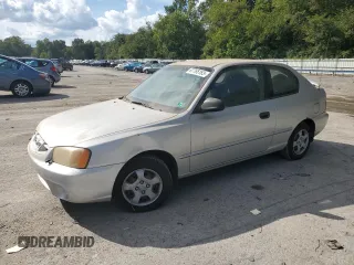 2002 Hyundai Accent GL with VIN KMHCG35C62U170660, listed as a Copart auction lot 49396344 with 145,942 mi miles and Salvage Title. Bid and sale history available at carsss.com. Image 1.