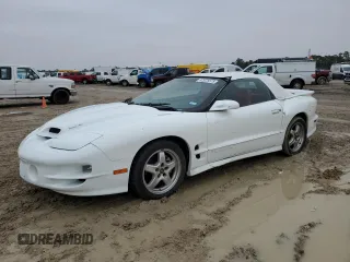 2002 Pontiac Firebird Trans Am with VIN 2G2FV32G922111210, listed as a Copart auction lot 42975575 with 104,583 mi miles and Salvage Title. Bid and sale history available at carsss.com. Image 1.