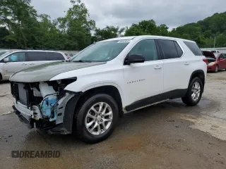 2020 Chevrolet Traverse LS with VIN 1GNEVFKW6LJ141687, listed as a Copart auction lot 58945845 with 112,249 mi miles and Salvage title. Bid and sale history available at DreamBid. Image 1.