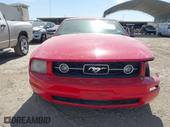 2008 Ford Mustang Deluxe with VIN 1ZVHT80N685116559, listed as a IAAI auction lot 41778691 with 94,514 mi miles and . Bid and sale history available at DreamBid. Image 13.