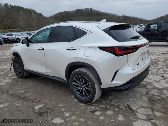 2024 Lexus NX with VIN 2T2GGCEZ9RC058514, listed as a Copart auction lot 81326054 with 18,952 mi miles and Salvage Title. Bid and sale history available at carsss.com. Image 2.