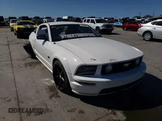 2006 Ford Mustang GT Deluxe z VIN 1ZVFT82H865186270, wystawiony jako Copart lot #49670655 z przebiegiem Nie podano mil oraz Szkoda całkowita • Salvage title. Historia ofert i sprzedaży dostępna na DreamBid. Obrazek 11.