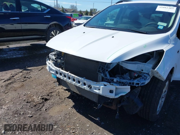 2014 Ford Escape SE with VIN 1FMCU0GX6EUA20379, listed as a IAAI auction lot 42082363 with 129,059 mi miles. Bid and sale history available at carsss.com. Image 6.