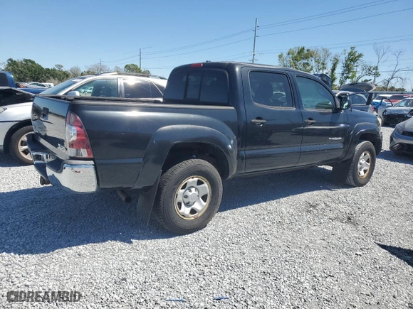 2009 Toyota Tacoma with VIN 3TMLU42N59M035600, listed as a Copart auction lot 50177595 with 0 mi miles and Clean Title. Bid and sale history available at carsss.com. Image 3.