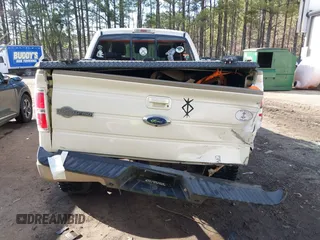 2009 Ford F-150 XL with VIN 1FTPW14V59KC26416, listed as a IAAI auction lot 41630034 with 120,455 mi miles. Bid and sale history available at carsss.com. Image 16.