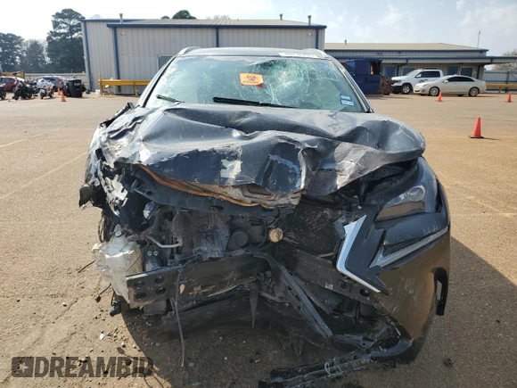 2017 Lexus NX with VIN JTJYARBZ6H2066520, listed as a Copart auction lot 49234295 with 0 mi miles and Salvage Title. Bid and sale history available at carsss.com. Image 5.