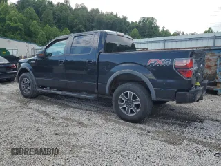 2013 Ford F-150 XL with VIN 1FTFW1EF5DKD04673, listed as a Copart auction lot 60316705 with 308,347 mi miles and Salvage title. Bid and sale history available at DreamBid. Image 2.