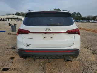 2021 Hyundai Santa Fe Limited with VIN 5NMS44AL7MH316966, listed as a Copart auction lot 45665785 with 60,176 mi miles and Salvage Title. Bid and sale history available at carsss.com. Image 6.