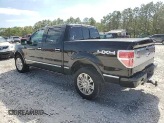 2009 Ford F-150 XL with VIN 1FTPW14V89FB31129, listed as a Copart auction lot 51804665 with 227,851 mi miles and Clean title. Bid and sale history available at DreamBid. Image 2.