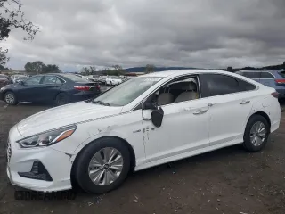 2019 Hyundai Sonata Hybrid SE with VIN KMHE24L33KA094171, listed as a Copart auction lot 81543924 with 49,483 mi miles and Salvage Title. Bid and sale history available at carsss.com. Image 1.