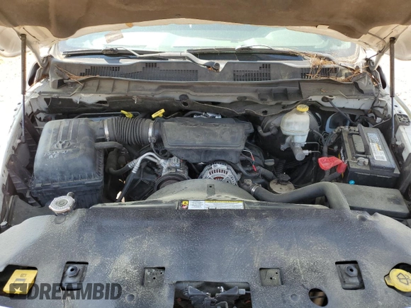 2010 Dodge 1500 ST with VIN 1D7RB1CP8AS155777, listed as a Copart auction lot 55330675 with 312,061 mi miles and Clean Title. Bid and sale history available at carsss.com. Image 11.