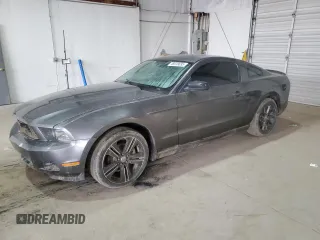 2013 Ford Mustang V6 with VIN 1ZVBP8AM4D5215861, listed as a Copart auction lot 48918695 with Not provided miles and Salvage title. Bid and sale history available at DreamBid. Image 1.