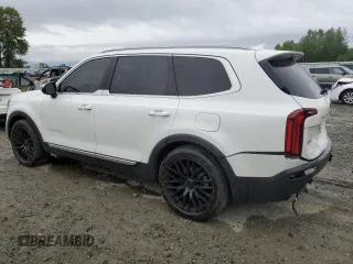 2020 Kia Telluride EX with VIN 5XYP3DHC2LG046777, listed as a Copart auction lot 57917025 with 66,494 mi miles and Salvage title. Bid and sale history available at DreamBid. Image 2.