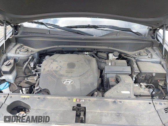 2020 Hyundai Palisade SEL z VIN KM8R34HE7LU100448, wystawiony jako IAAI lot #41952863 z przebiegiem 68 798 mil mil oraz . Historia ofert i sprzedaży dostępna na DreamBid. Obrazek 10.