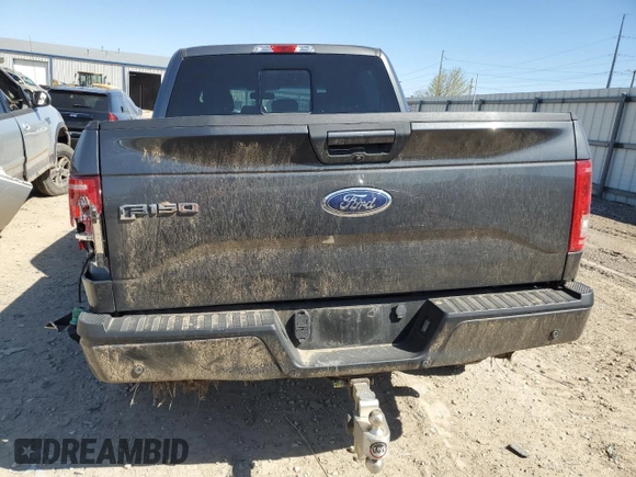 2016 Ford F-150 XLT with VIN 1FTEW1EP9GFB53077, listed as a Copart auction lot 53702715 with 164,599 mi miles and Clean title. Bid and sale history available at DreamBid. Image 6.