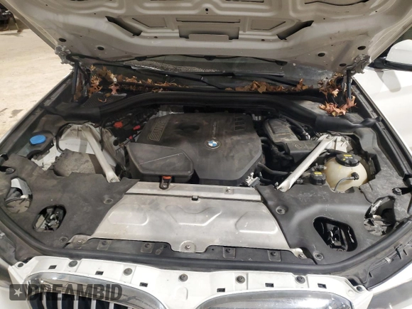 2019 BMW X3 sDrive30i with VIN 5UXTR7C56KLF24971, listed as a Copart auction lot 43018555 with 101,039 mi miles and Salvage Title. Bid and sale history available at carsss.com. Image 11.
