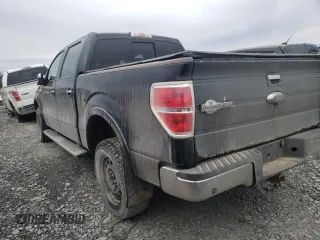 2013 Ford F-150 with VIN 2ATE01102DKD97632, listed as a Copart auction lot 49815235 with Not provided miles and Salvage title. Bid and sale history available at DreamBid. Image 2.
