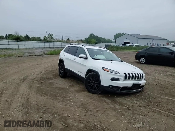 2016 Jeep Cherokee Limited with VIN 1C4PJMDB9GW244574, listed as a Copart auction lot 59346415 with 140,305 mi miles and Salvage title. Bid and sale history available at DreamBid. Image 14.