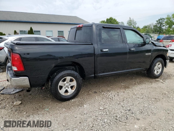 2010 Dodge 1500 SLT with VIN 1D7RV1CP1AS174131, listed as a Copart auction lot 60446704 with 164,653 mi miles and Non Repairable. Bid and sale history available at DreamBid. Image 3.
