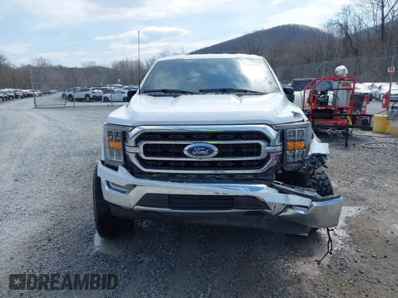 2023 Ford F-150 XL with VIN 1FTEW1C58PKE81292, listed as a IAAI auction lot 41900494 with 34,753 mi miles and . Bid and sale history available at DreamBid. Image 12.