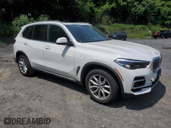 2023 BMW X5 xDrive40i with VIN 5UXCR6C03P9P75351, listed as a Copart auction lot 61465655 with 24,883 mi miles and Salvage title. Bid and sale history available at DreamBid. Image 4.