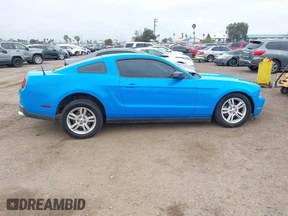 2010 Ford Mustang V6 with VIN 1ZVBP8AN9A5157640, listed as a IAAI auction lot 41873148 with 147,969 mi miles and . Bid and sale history available at carsss.com. Image 14.