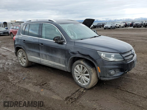 2014 Volkswagen Tiguan SEL with VIN WVGBV3AX2EW596929, listed as a Copart auction lot 46267875 with Not provided miles and Salvage title. Bid and sale history available at DreamBid. Image 4.