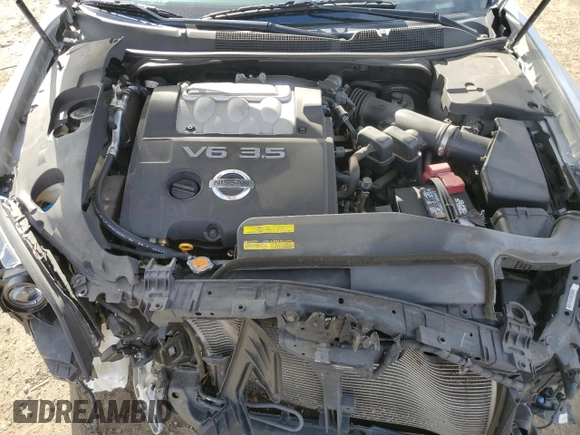 2007 Nissan Maxima 3.5 SE with VIN 1N4BA41E07C819855, listed as a Copart auction lot 78756064 with 56,201 mi miles and Salvage Title. Bid and sale history available at carsss.com. Image 11.