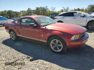 2006 Ford Mustang Standard with VIN 1ZVFT80N365106267, listed as a Copart auction lot 49793925 with Not Provided miles and Salvage Title. Bid and sale history available at carsss.com. Image 4.