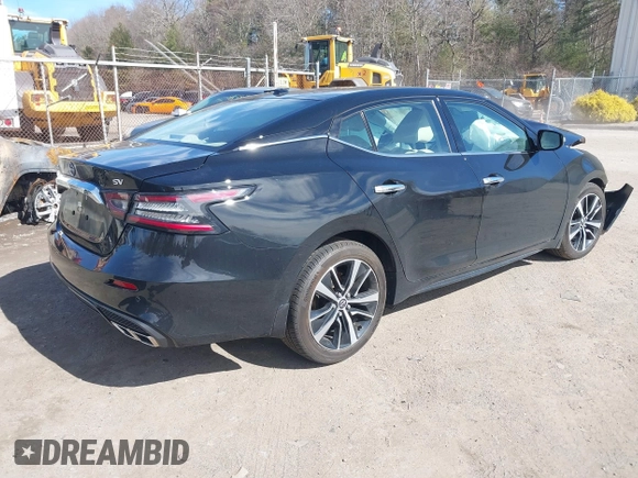 2023 Nissan Maxima SV with VIN 1N4AA6CV9PC514214, listed as a IAAI auction lot 41751672 with Not provided miles and . Bid and sale history available at DreamBid. Image 4.