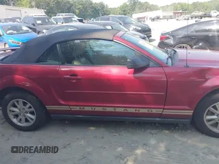 2006 Ford Mustang Standard with VIN 1ZVFT84N865222011, listed as a IAAI auction lot 42523400 with 234,756 mi miles and . Bid and sale history available at DreamBid. Image 13.