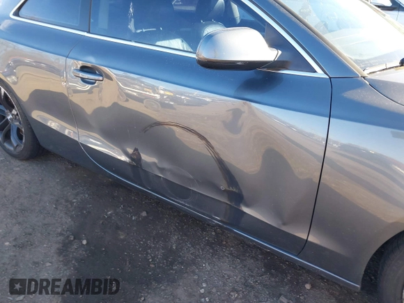 2012 Audi A5 Premium с VIN WAUCFAFR9CA030147, выставлен на аукционе IAAI как лот 41289063 с пробегом 171 875 миль миль и . История ставок и продаж доступна на DreamBid. Изображение 13.