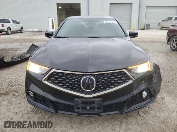 2019 Acura TLX w/A-Spec Pkg with VIN 19UUB3F6XKA005021, listed as a Copart auction lot 46462965 with 84,381 mi miles and Salvage title. Bid and sale history available at DreamBid. Image 5.