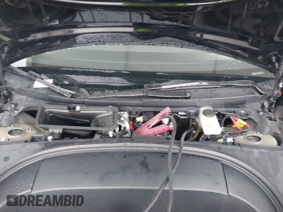 2024 Tesla Model 3 with VIN 5YJ3E1EA6RF731312, listed as a IAAI auction lot 41987407 with 5,025 mi miles and . Bid and sale history available at DreamBid. Image 10.