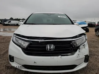 2024 Honda Odyssey EX-L with VIN 5FNRL6H66RB069509, listed as a Copart auction lot 56155715 with 3,341 mi miles and Salvage Title. Bid and sale history available at DreamBid. Image 5.