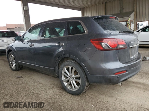 2013 Mazda CX-9 Grand Touring with VIN JM3TB3DA9D0409283, listed as a Copart auction lot 48118435 with 171,480 mi miles and Salvage Title. Bid and sale history available at carsss.com. Image 2.