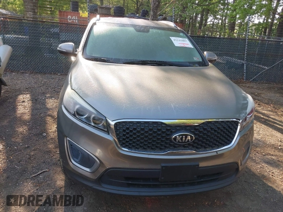 2017 Kia Sorento LX with VIN 5XYPG4A36HG279857, listed as a IAAI auction lot 42115007 with 112,592 mi miles. Bid and sale history available at carsss.com. Image 12.
