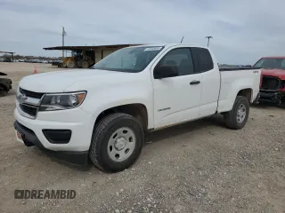 2019 Chevrolet Colorado 4WD Work Truck with VIN 1GCHTBEA2K1299334, listed as a Copart auction lot 43640685 with 66,689 mi miles and Salvage Title. Bid and sale history available at carsss.com. Image 1.